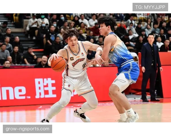 一图看懂技术犯规与违体犯规，两种犯规判罚方式有何本质不同？