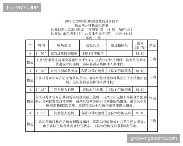 裁判报告中判罚依据、流程与影响要点